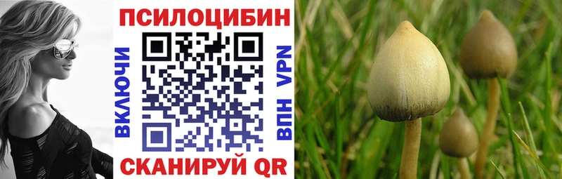 Купить  Ермолино  Галлюциногенные грибы прущие грибы 